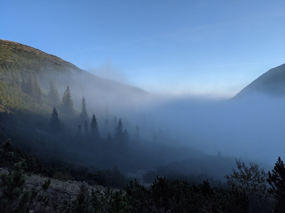 Photo #6706268