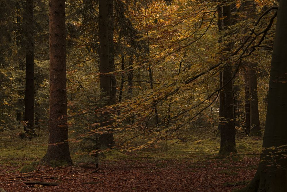 Photograph by Ray Snider