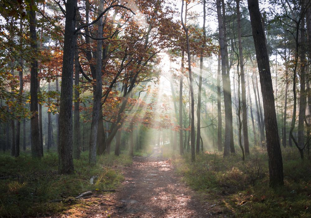 Photograph by Ray Snider