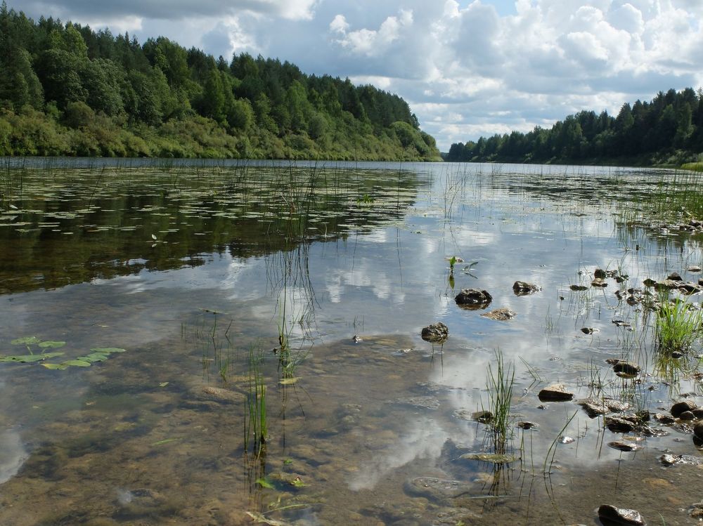 Photograph by Ираида Стародубцева