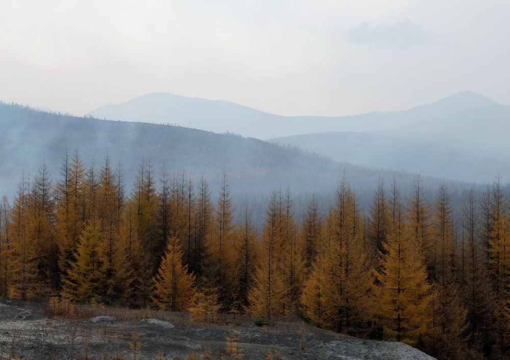 Магаданская осень