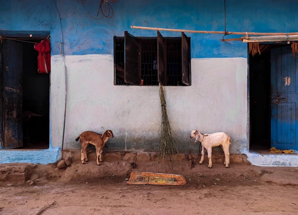 Photograph by Rohan Paradkar