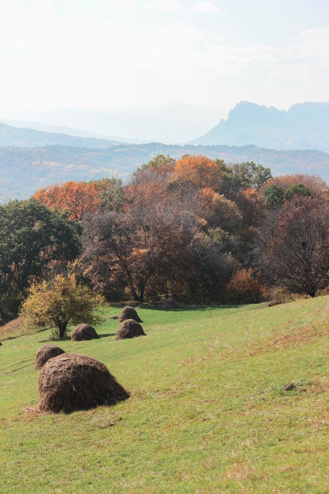 Photograph by Ольга Григоренко