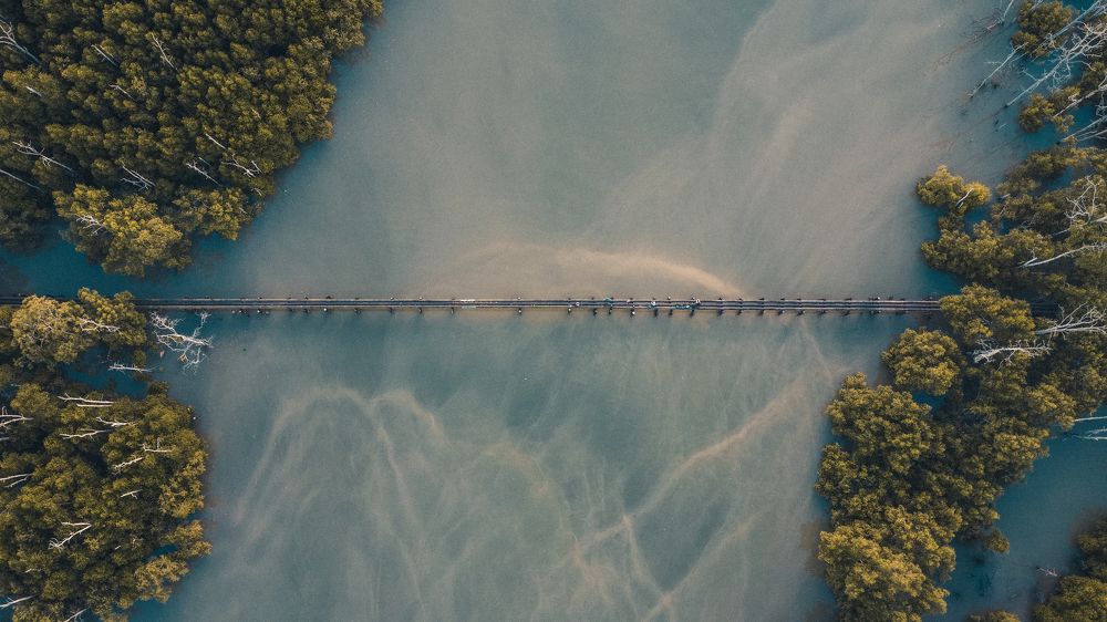 Photograph by Anil Prabhakar