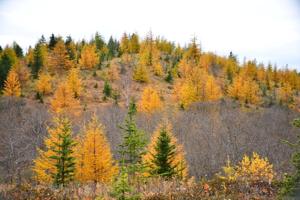 Photograph by Дмитрий