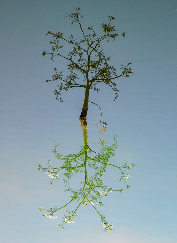 Photograph by Андрей Семенченко