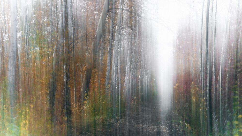 Photograph by Игорь Гюнтер