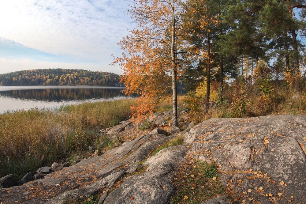 Photograph by Елизавета Деева