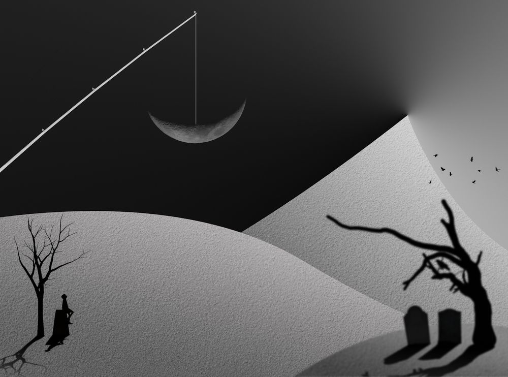 Photograph by Bahrami Ashkan