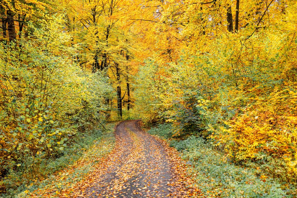 Photograph by Anastasiya Frolova