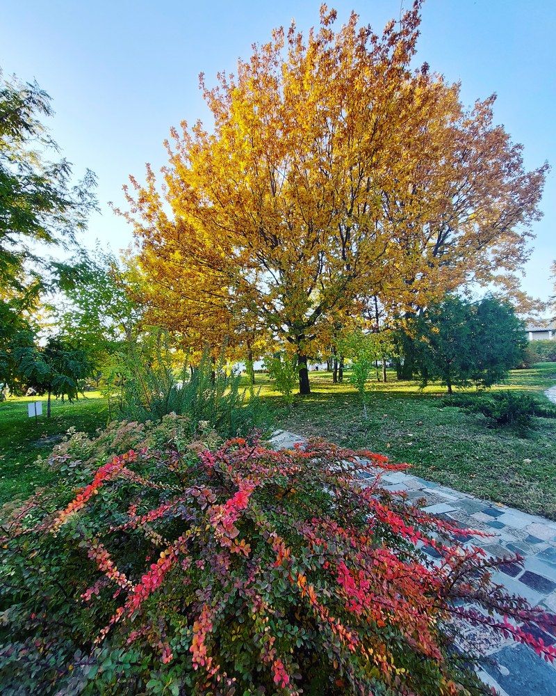 Photograph by Нина Паршина