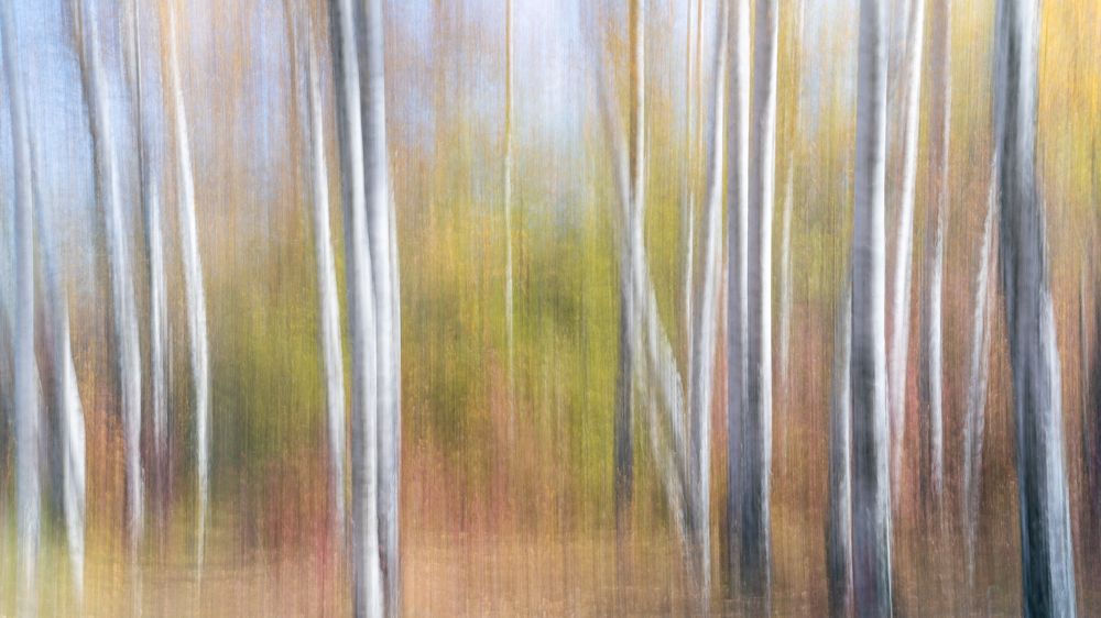 Photograph by Игорь Гюнтер