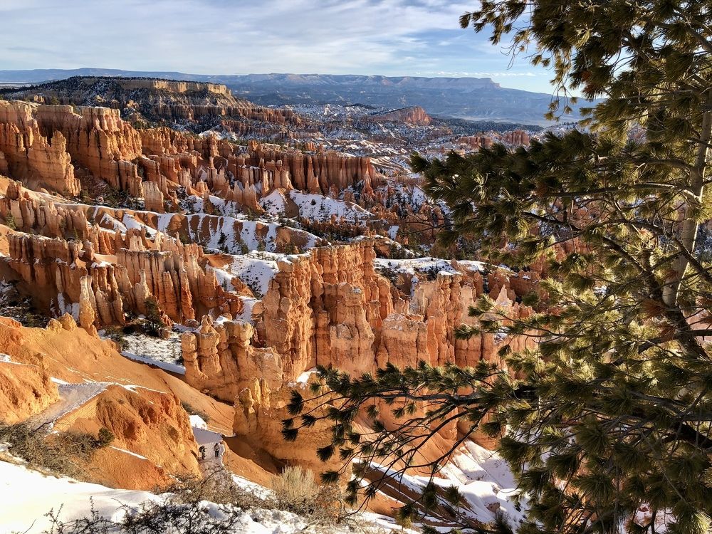 Photograph by Ольга Одаренко