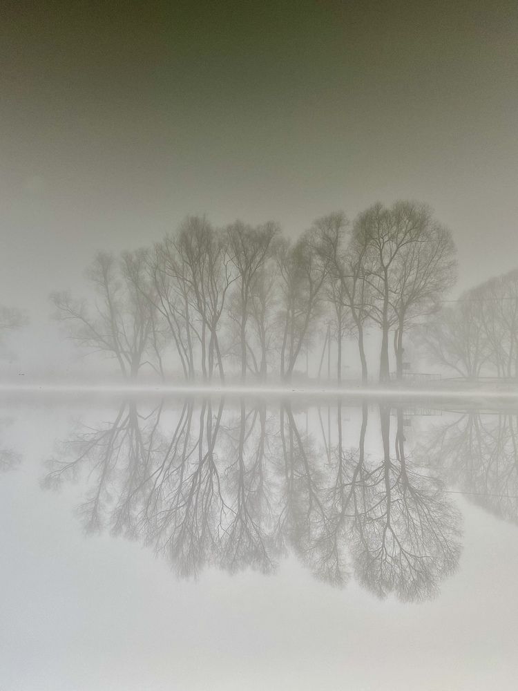 Photograph by Михайлов Алексей