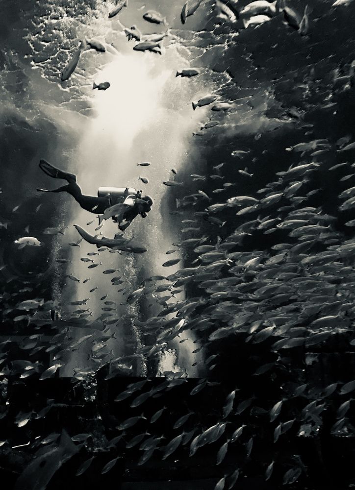 Фотография автора Anna Spiridonova