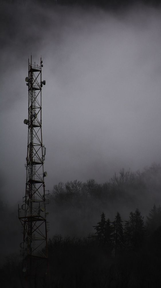 Photograph by Мелсон