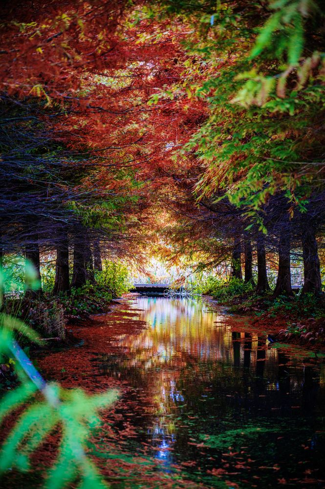 Photograph by iulian Nastase