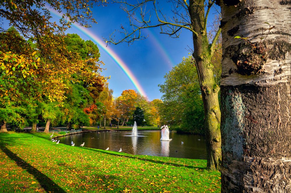 Photograph by iulian Nastase