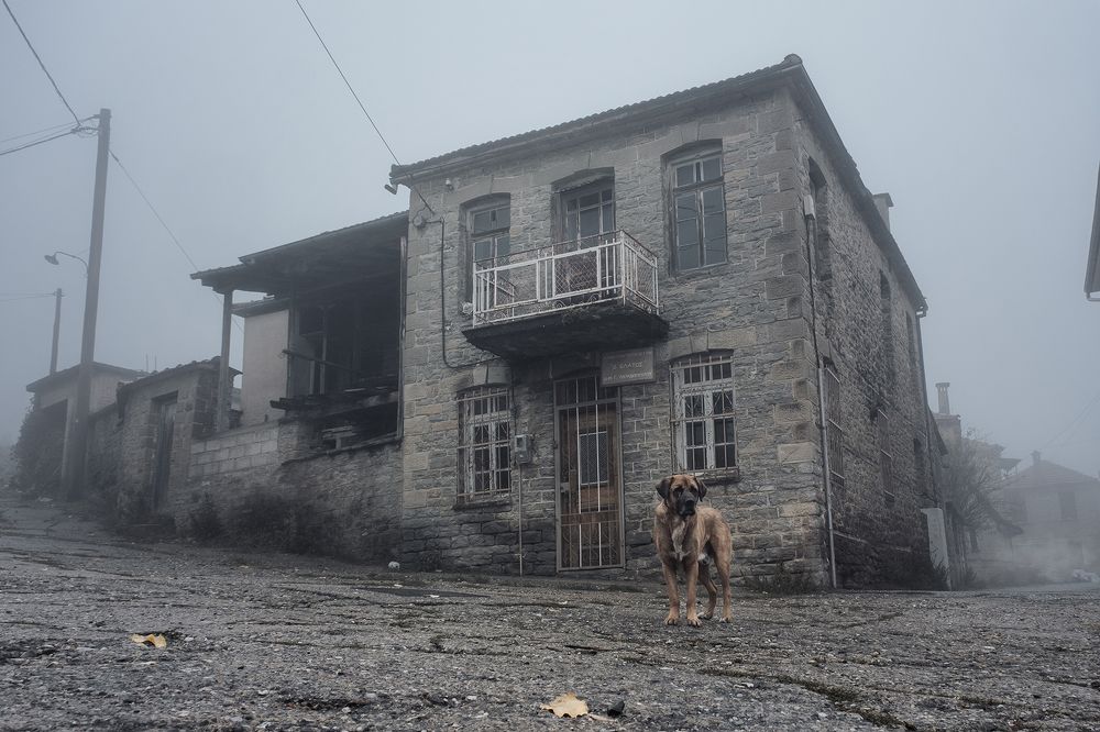 Photograph by Dimitris Vavliaras