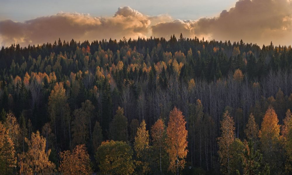 Photograph by Елизавета Деева