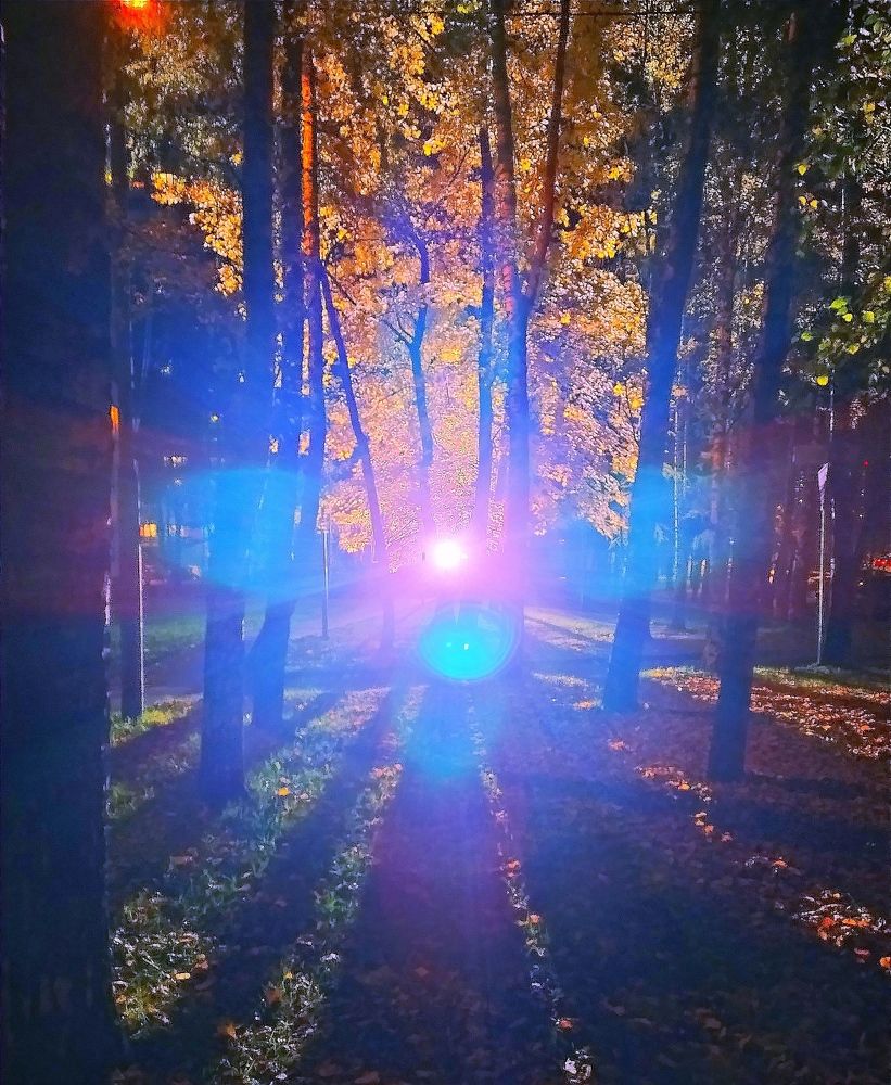 Photograph by Марина Василенко