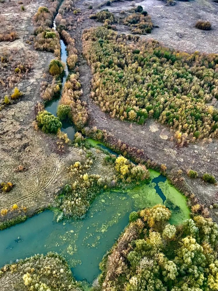 Photograph by Шестакова Наталья