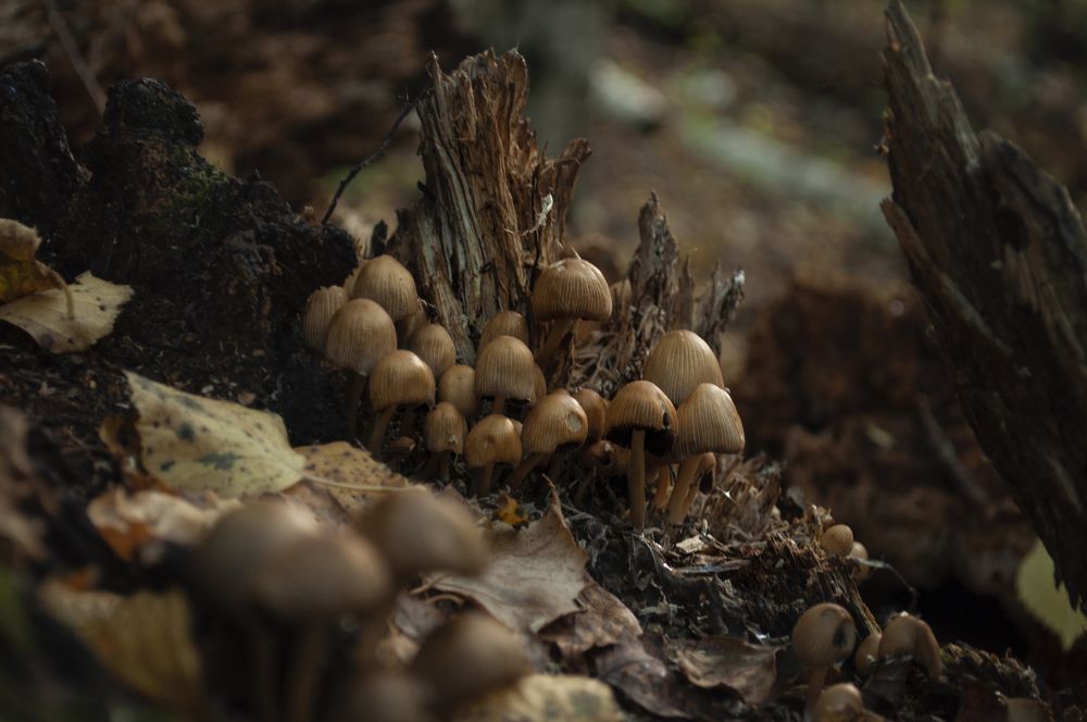 Photograph by Liubov Tripolskaya