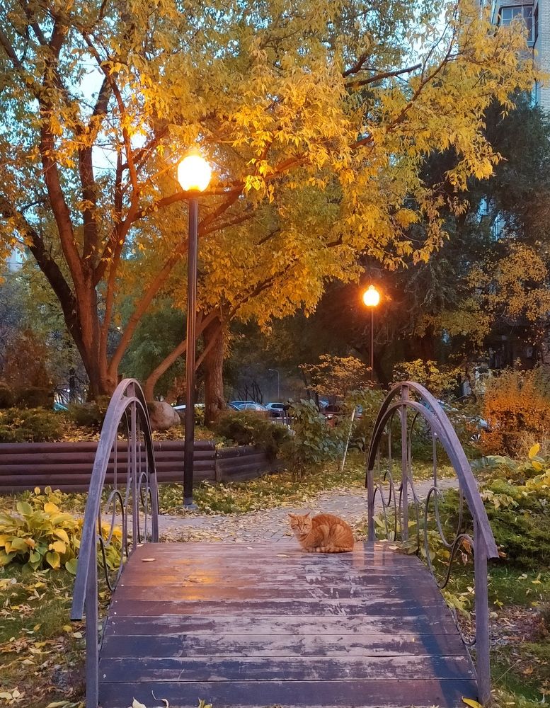 Photograph by Марина Василенко
