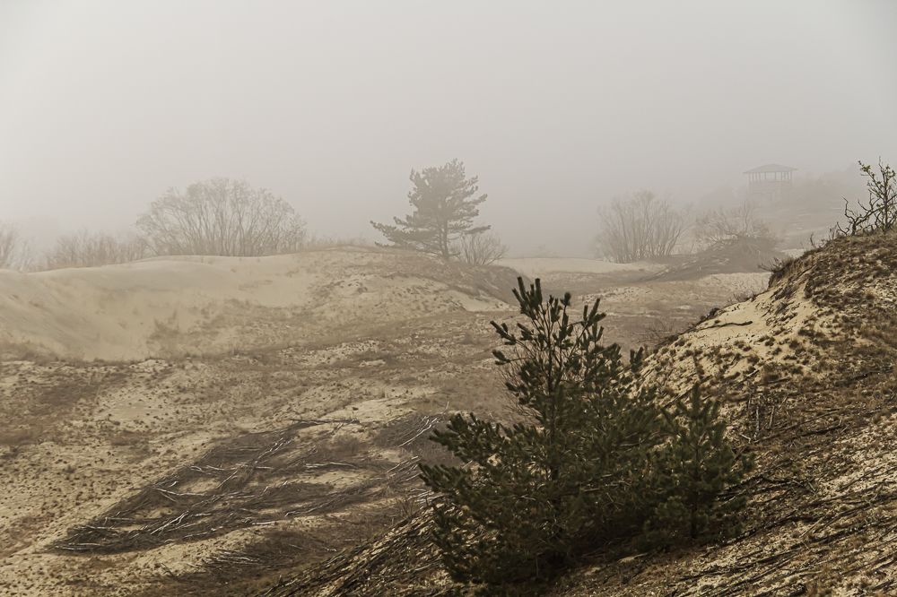 Photograph by Людмила Сливкина