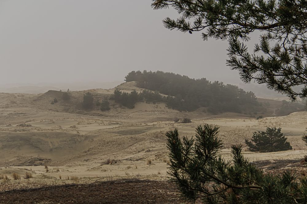 Photograph by Людмила Сливкина