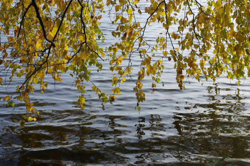 Photograph by Ирина Дронова