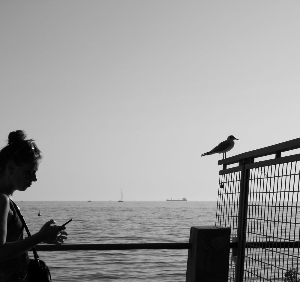 Photograph by Irina Delil