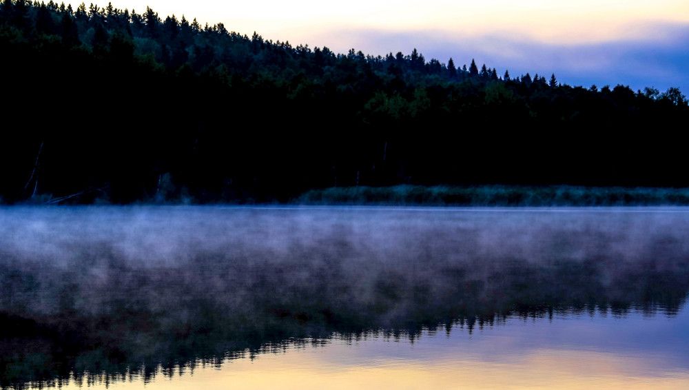 Photograph by Михаил Бояркин