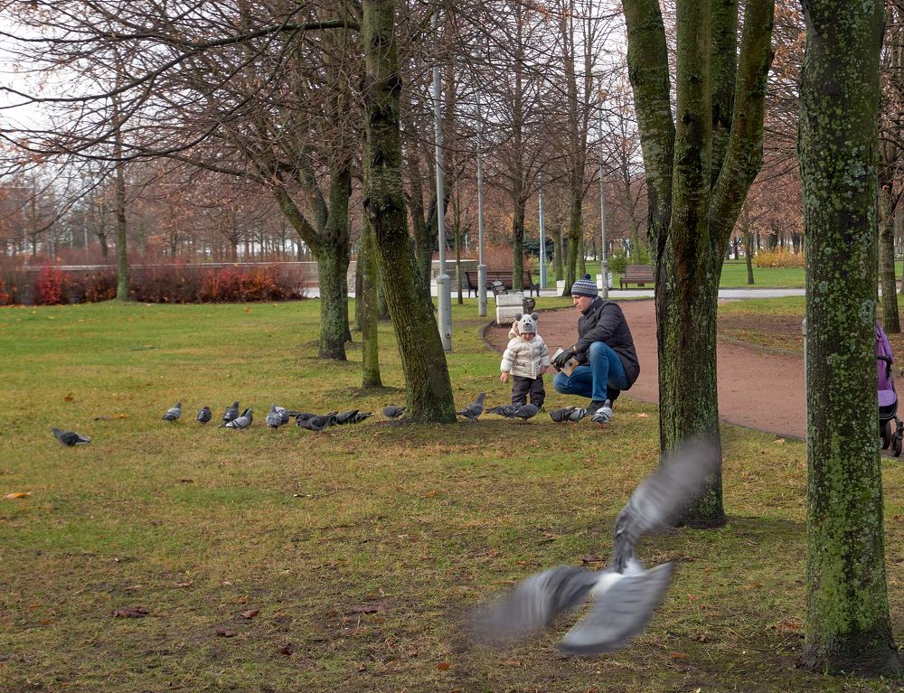 Photograph by Марина Сантарович