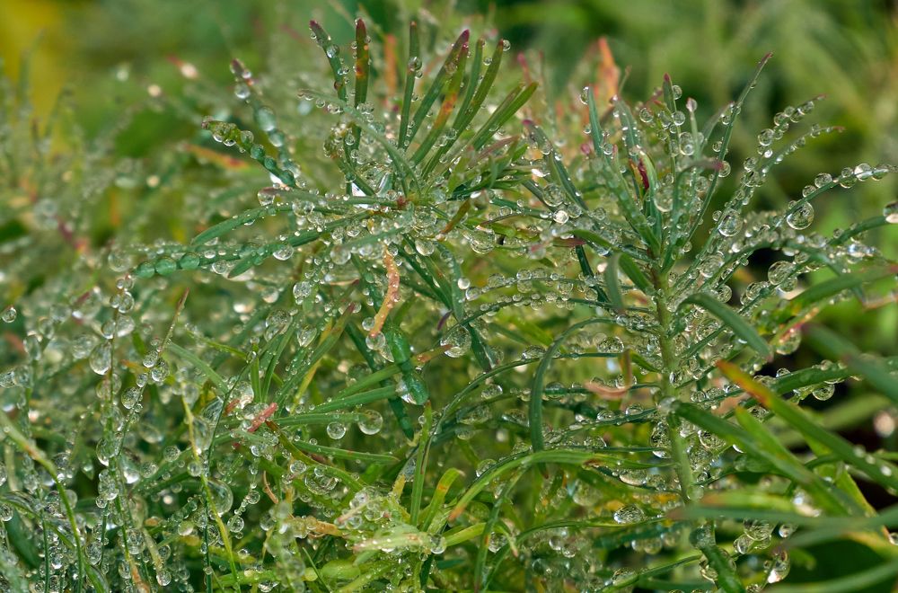 Photograph by Марина Сантарович