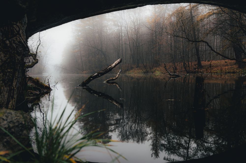 Photograph by Никита Червинский