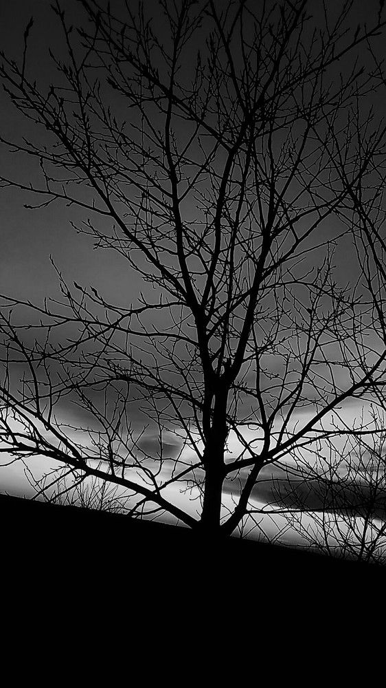 Photograph by Лидия