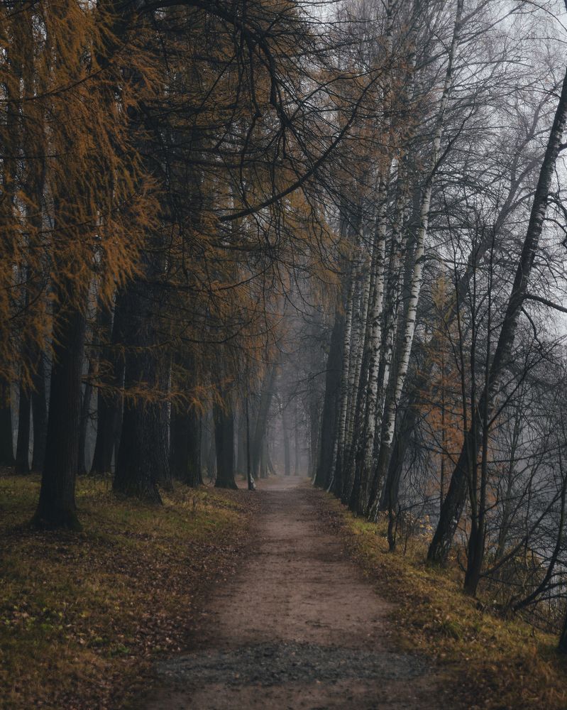 Photograph by Никита Червинский
