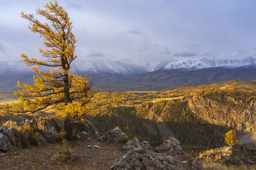 Фотография автора Олег Матроницкий