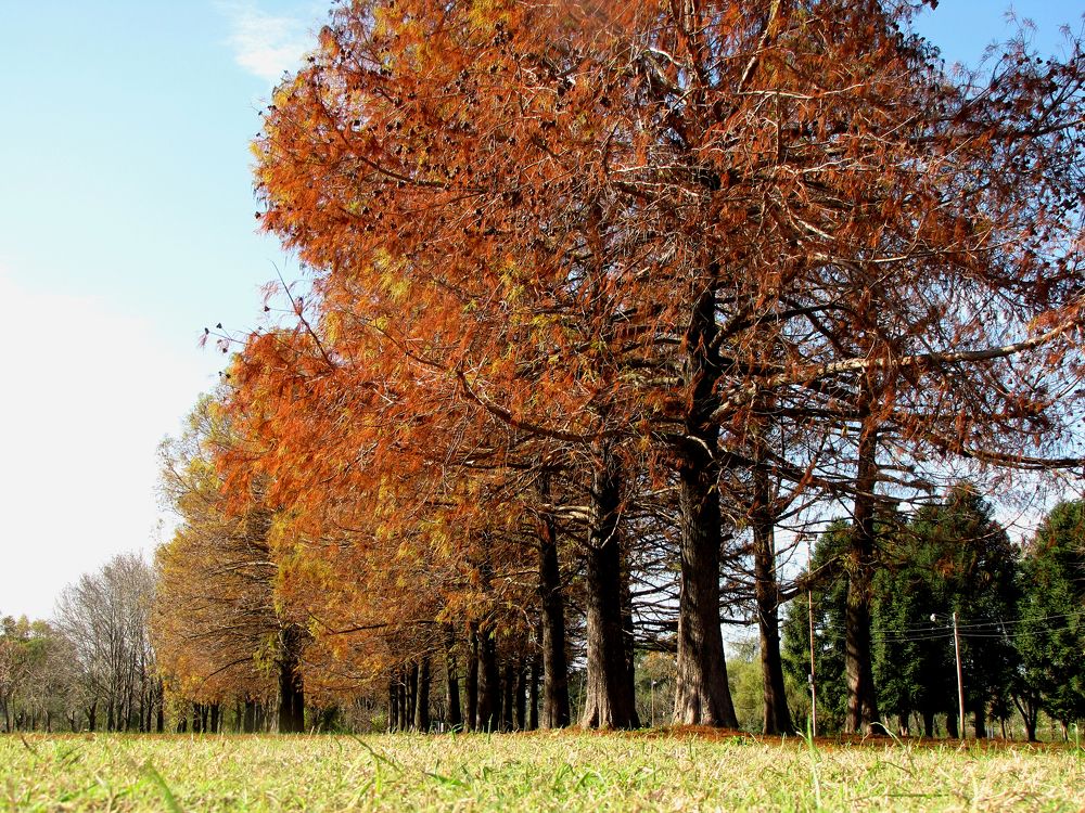 Photograph by Beatriz Games