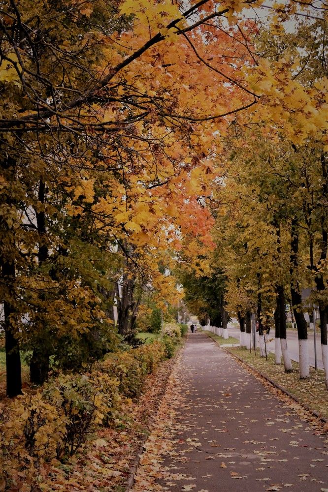 Осень в Пересвете