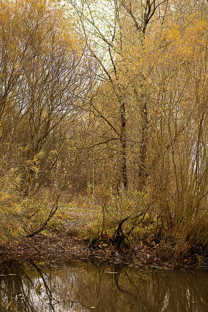 Photograph by Наталья