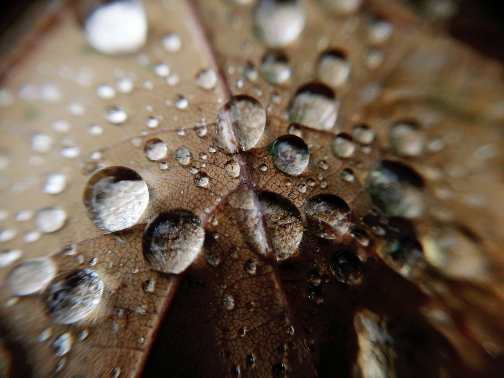 Photograph by София Гаязова