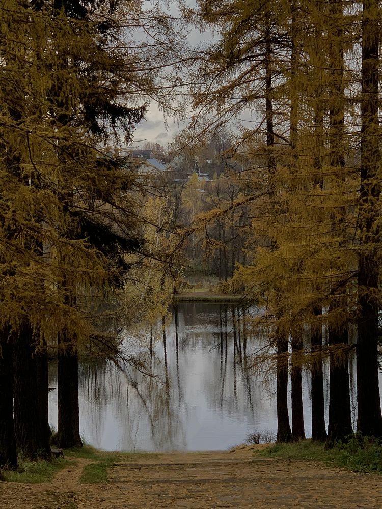 Photograph by Екатерина Микрюкова