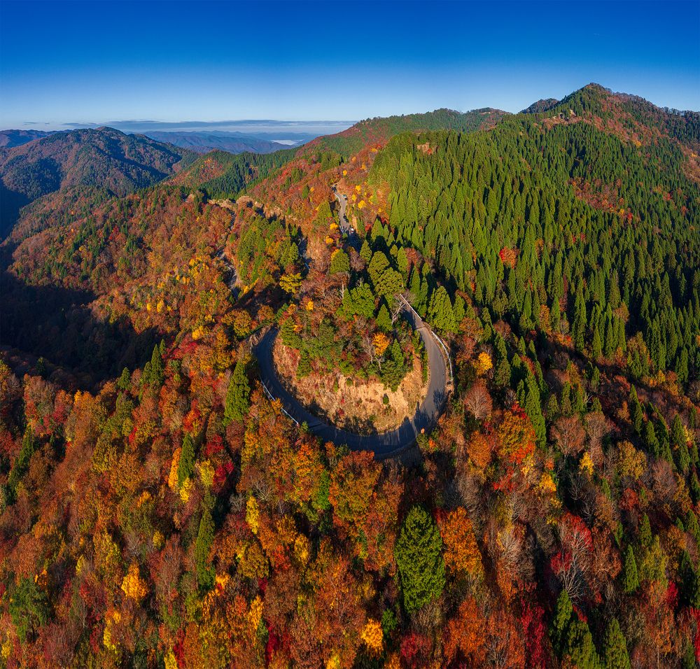 Photograph by si ong the