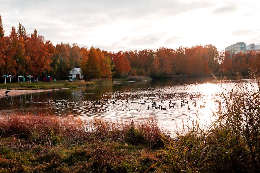 Photograph by Марина