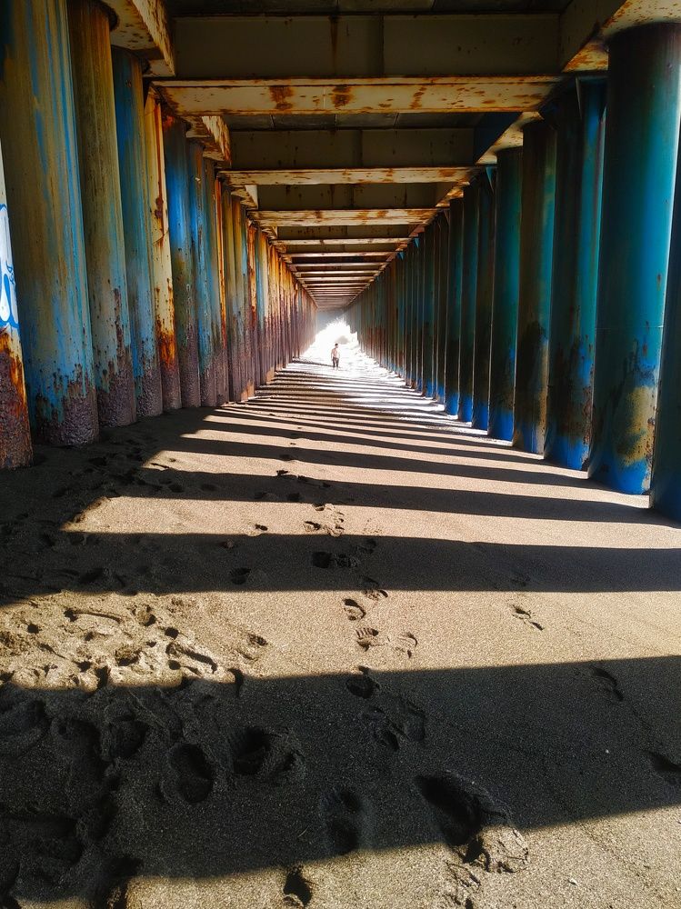 Photograph by Городничева Елена