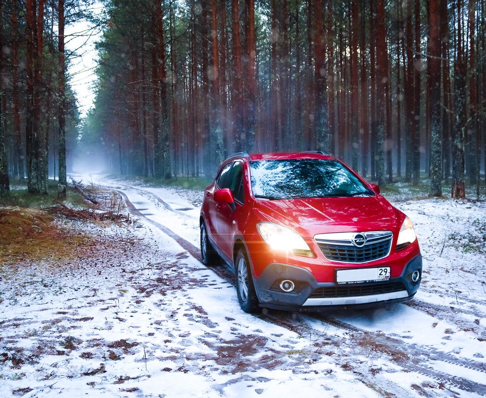 Photograph by Алёна Топорова