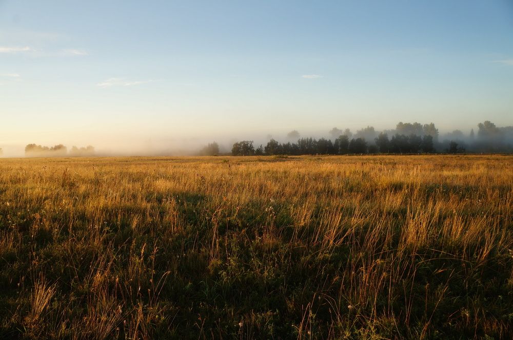 Photograph by Анастасия Шайдорова