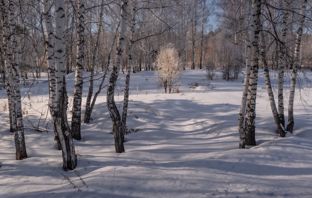 Photograph by Валерий Туманов